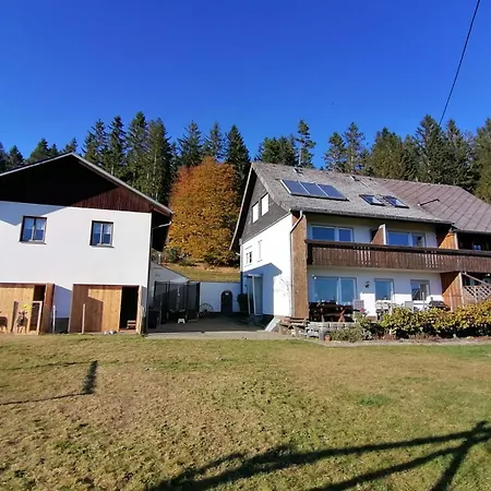 Rehblick Oberbraend Eisenbach (Breisgau-Hochschwarzwald)